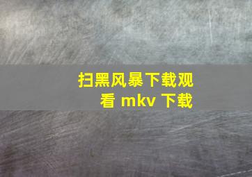 扫黑风暴下载观看 mkv 下载